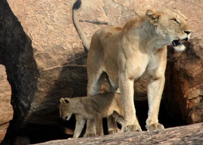 Shimba Hills National Reserve